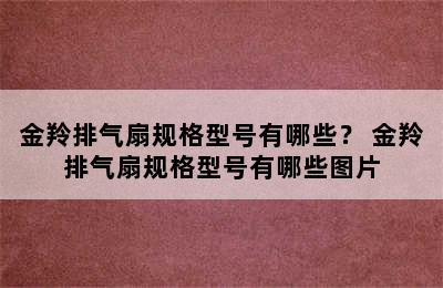 金羚排气扇规格型号有哪些？ 金羚排气扇规格型号有哪些图片